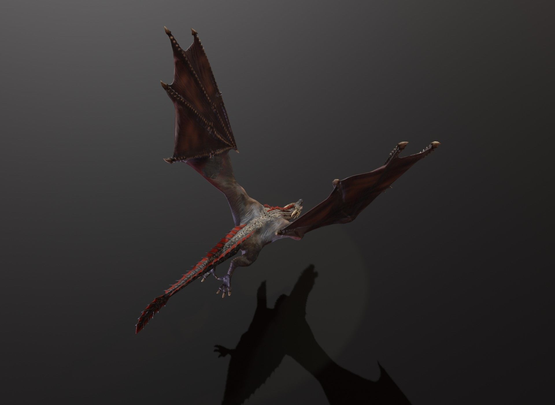 Realistic Black Wyvern Animated 3D Model Low-poly 3D model_14