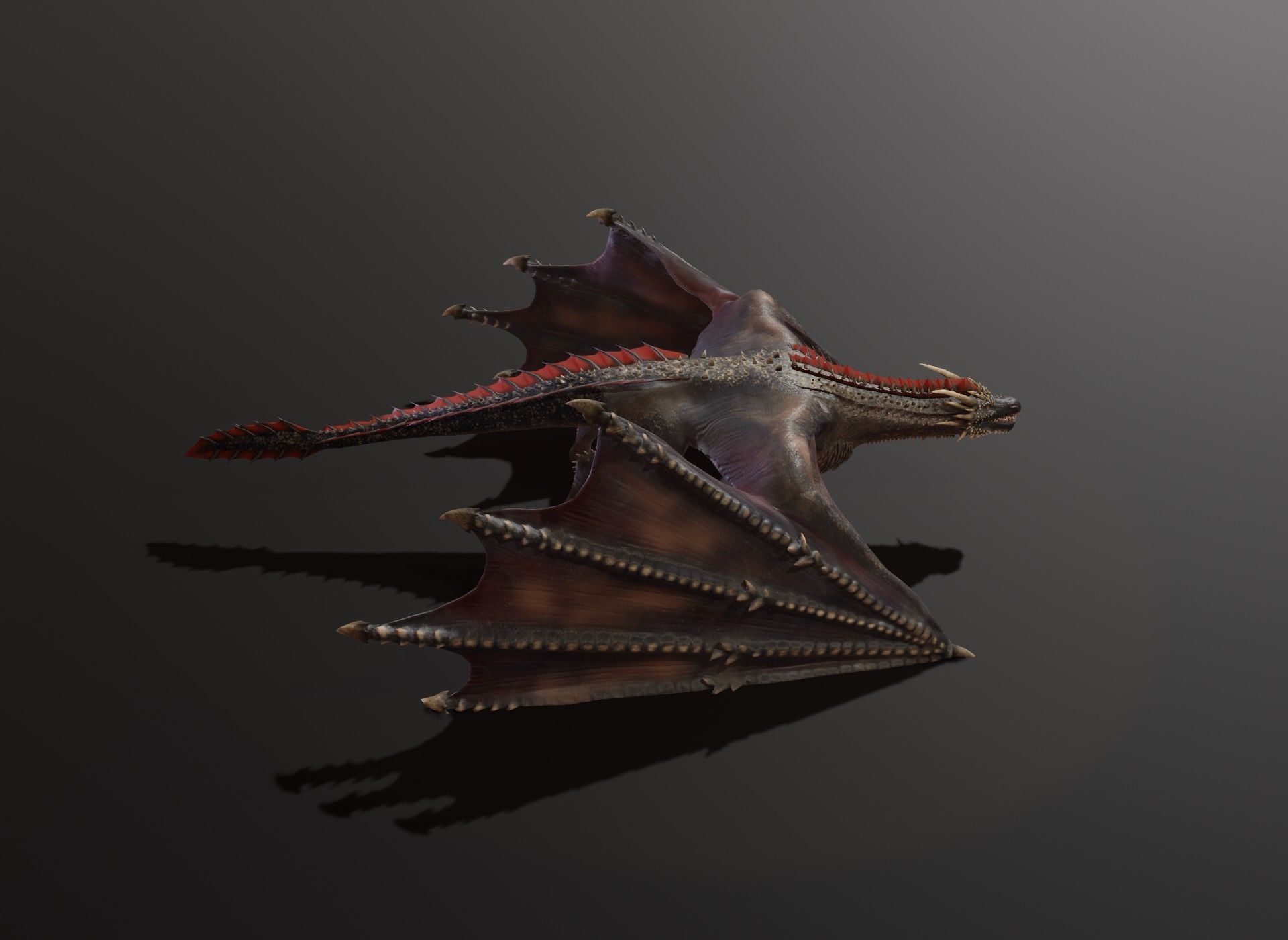 Realistic Black Wyvern Animated 3D Model Low-poly 3D model_11