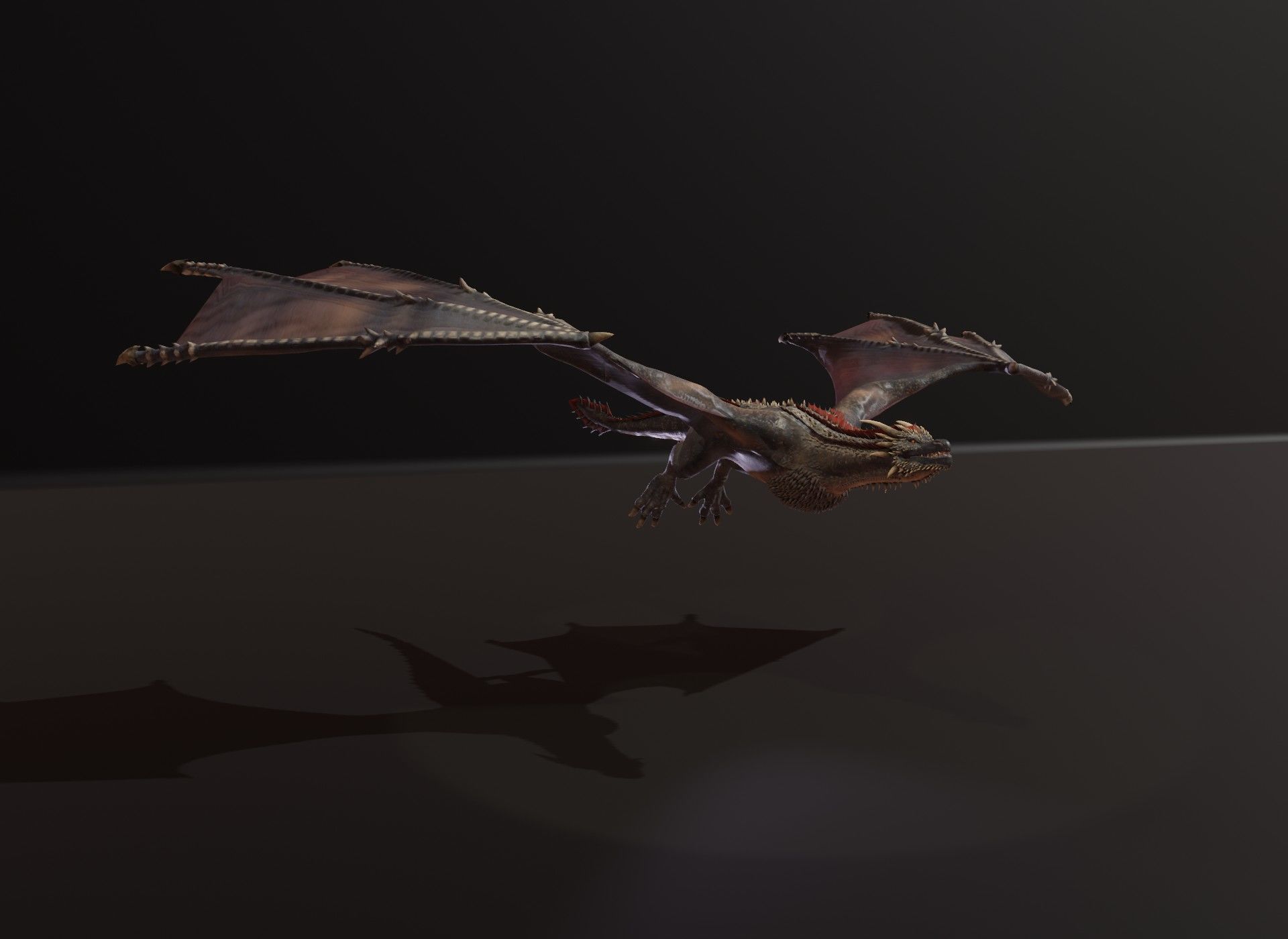 Realistic Black Wyvern Animated 3D Model Low-poly 3D model_7