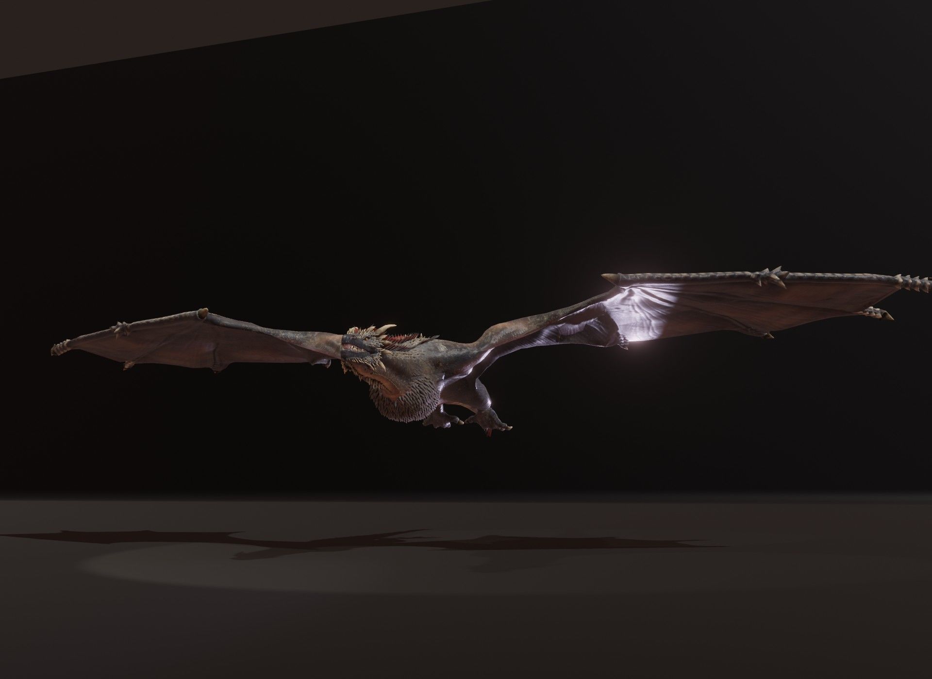Realistic Black Wyvern Animated 3D Model Low-poly 3D model_16