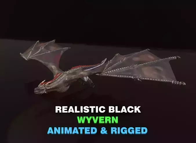 Realistic Black Wyvern Animated 3D Model Low-poly 3D model