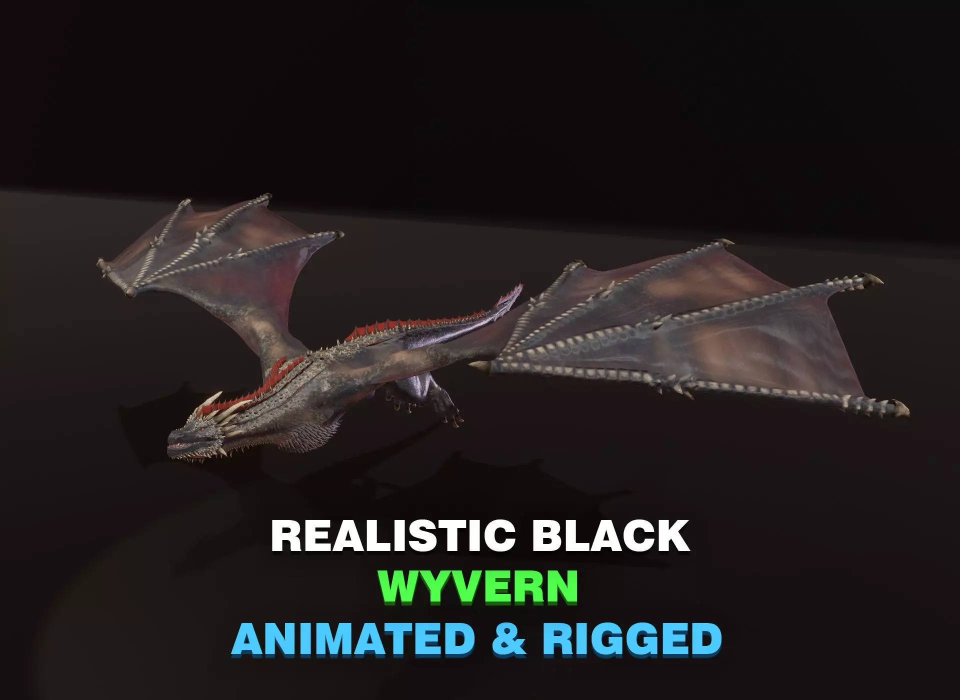 Realistic Black Wyvern Animated 3D Model Low-poly 3D model_0
