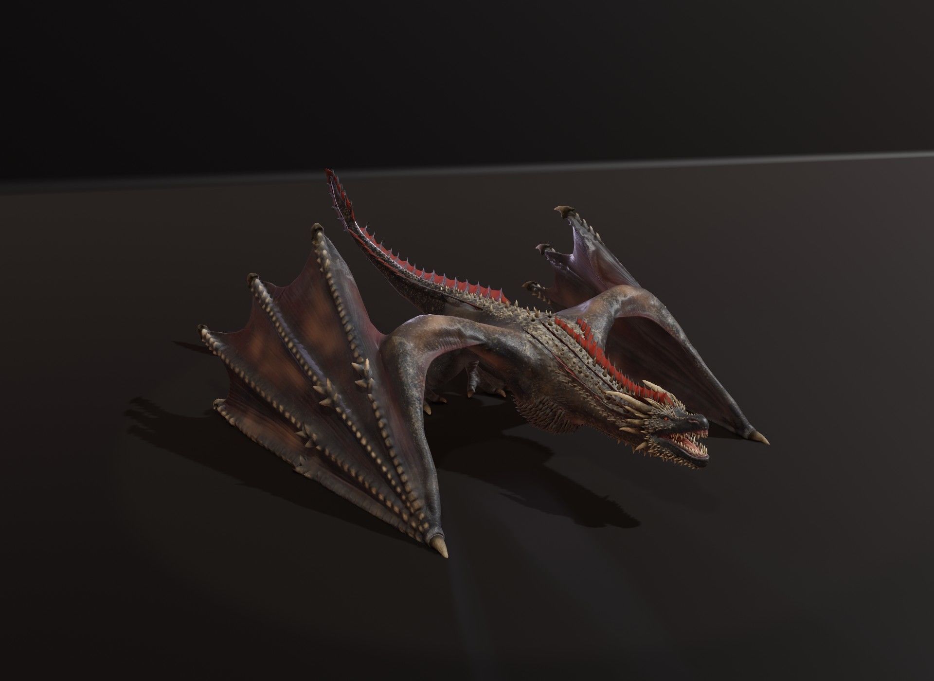 Realistic Black Wyvern Animated 3D Model Low-poly 3D model_18