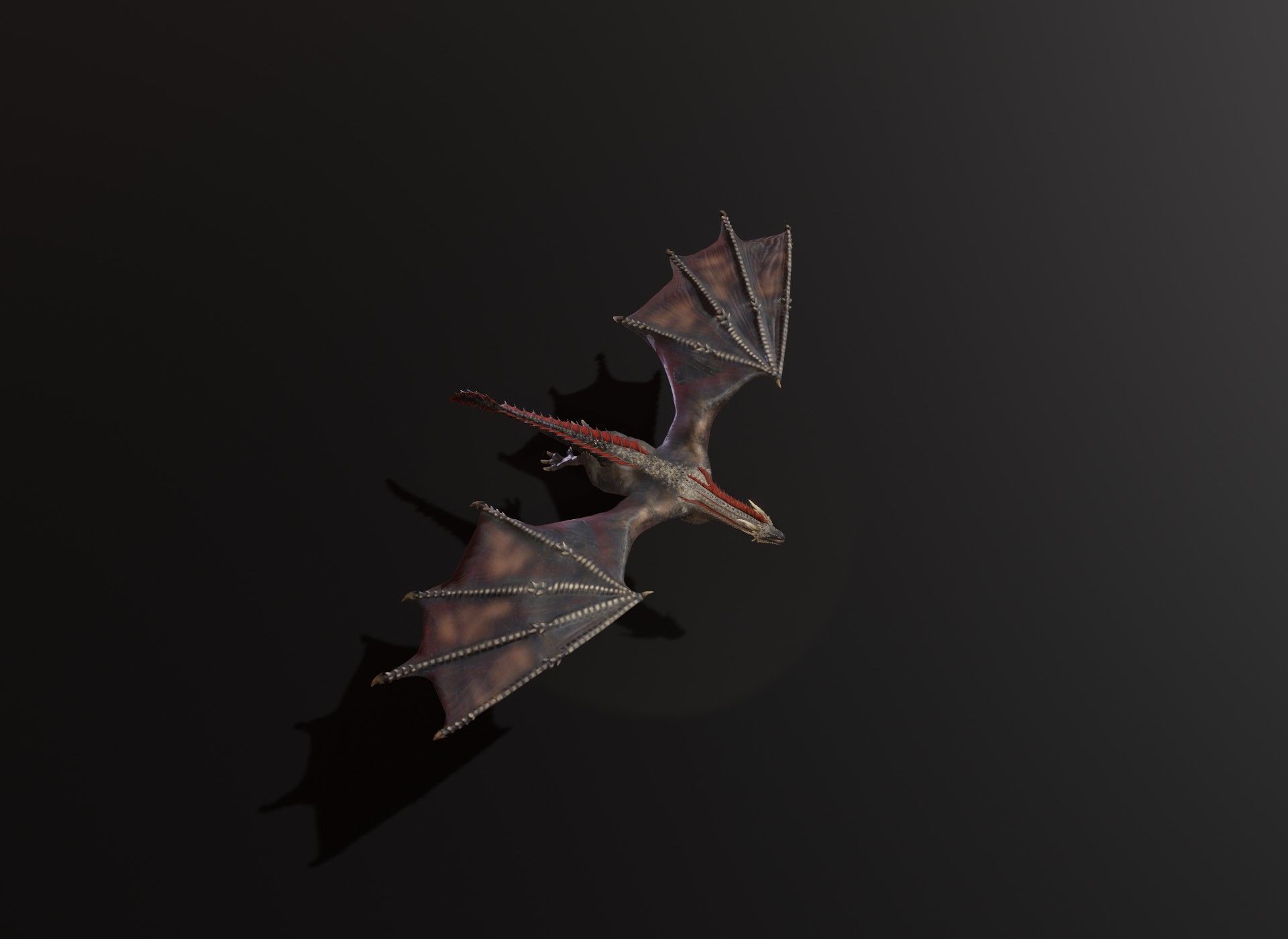 Realistic Black Wyvern Animated 3D Model Low-poly 3D model_17