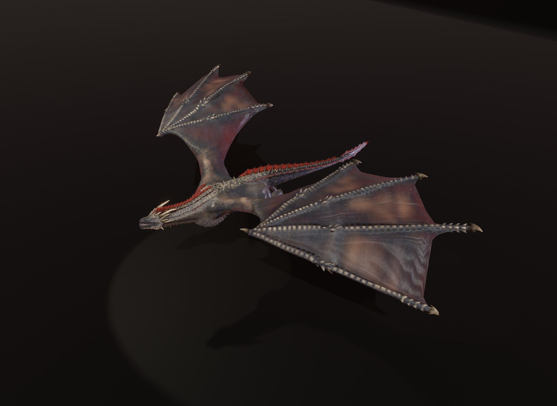 Realistic Black Wyvern Animated 3D Model Low-poly 3D model_8