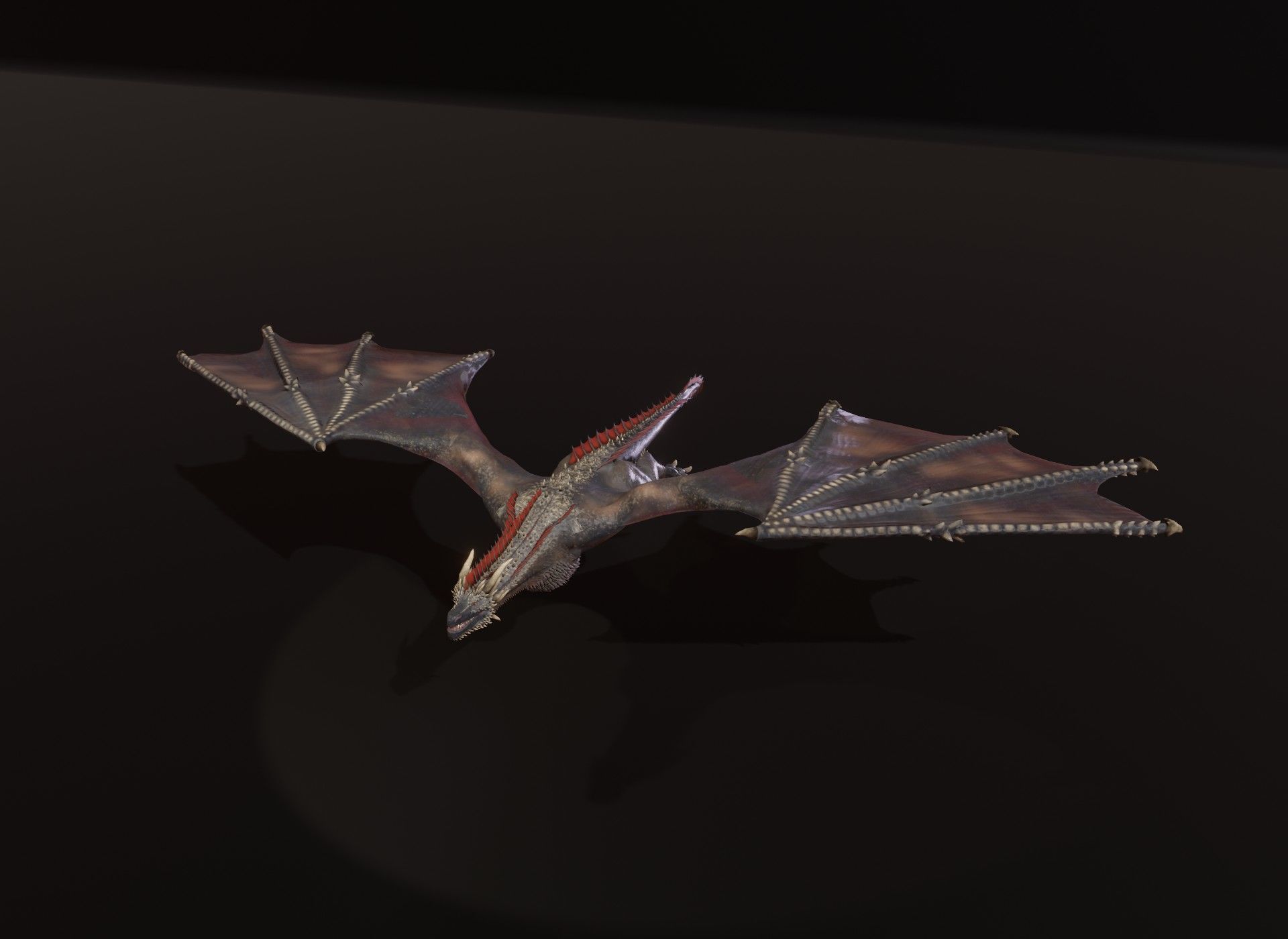 Realistic Black Wyvern Animated 3D Model Low-poly 3D model_15