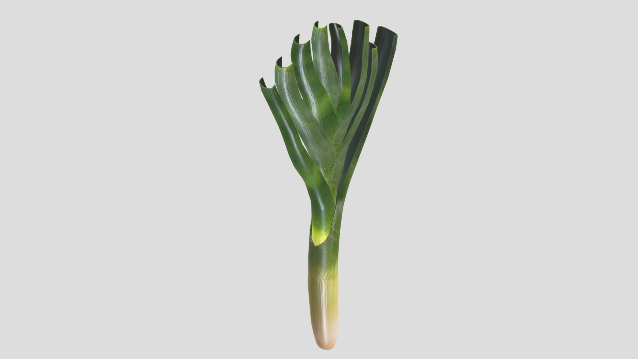 Leek Low Poly Low-poly 3D model_8