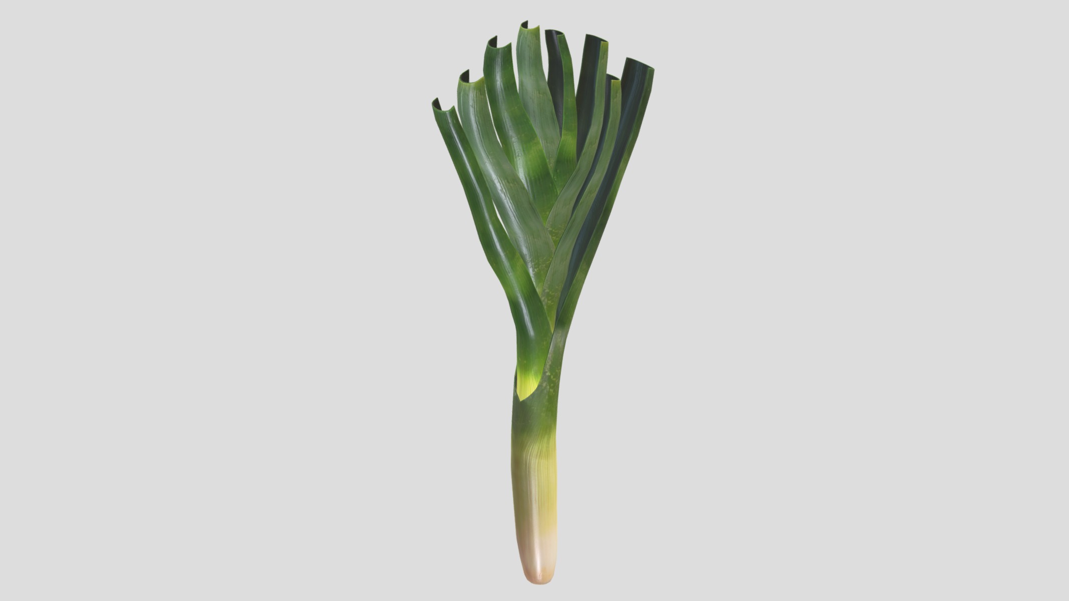 Leek Low Poly Low-poly 3D model_6