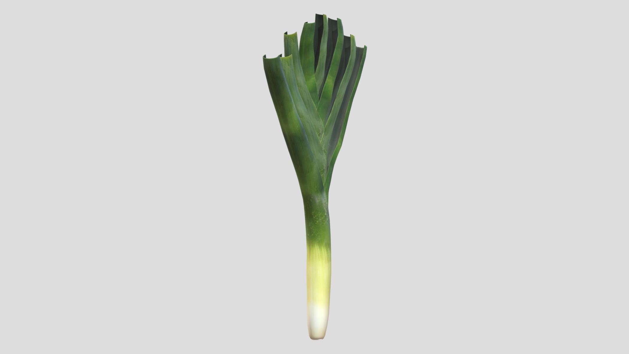 Leek Low Poly Low-poly 3D model_2