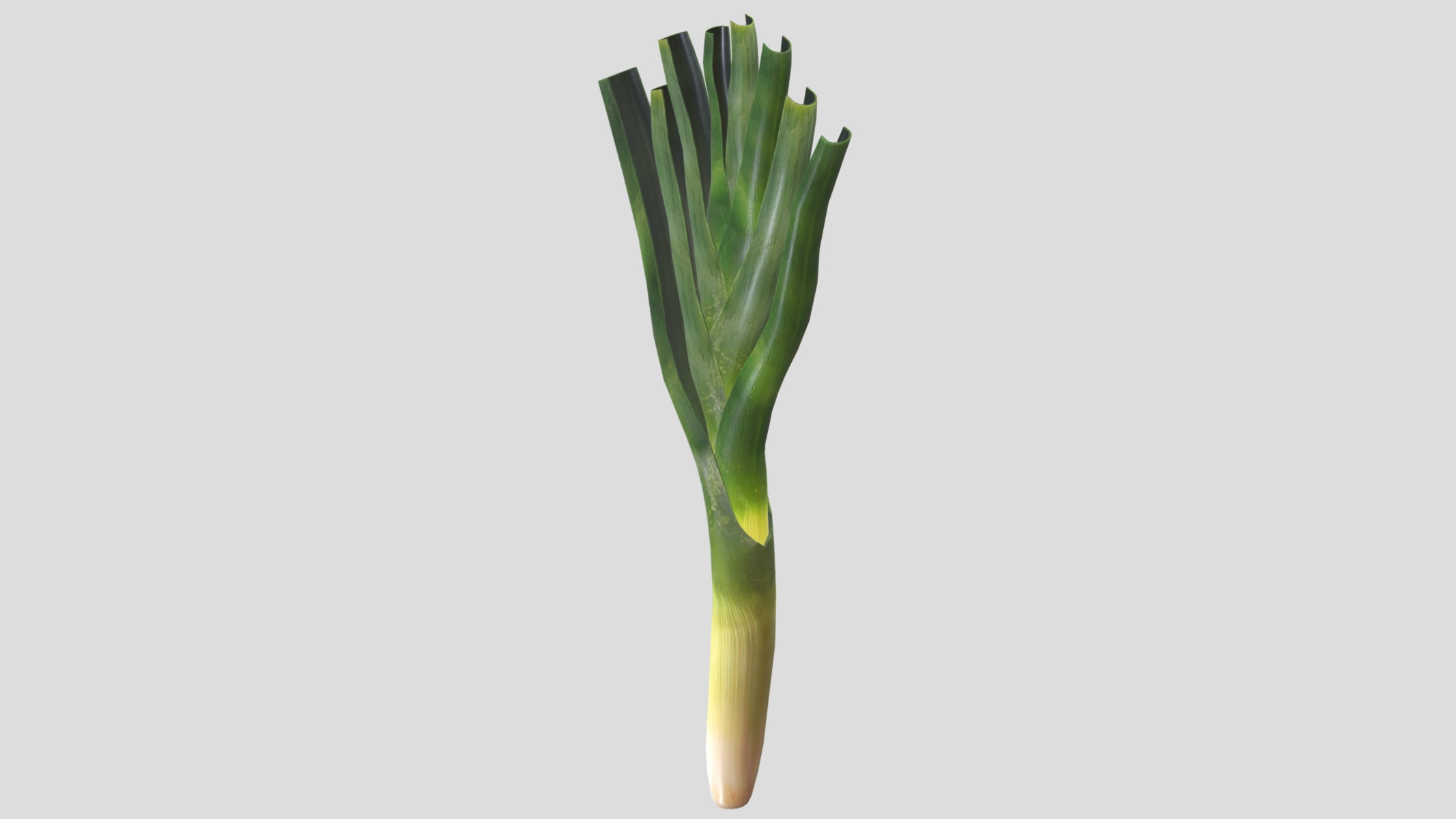 Leek Low Poly Low-poly 3D model_4