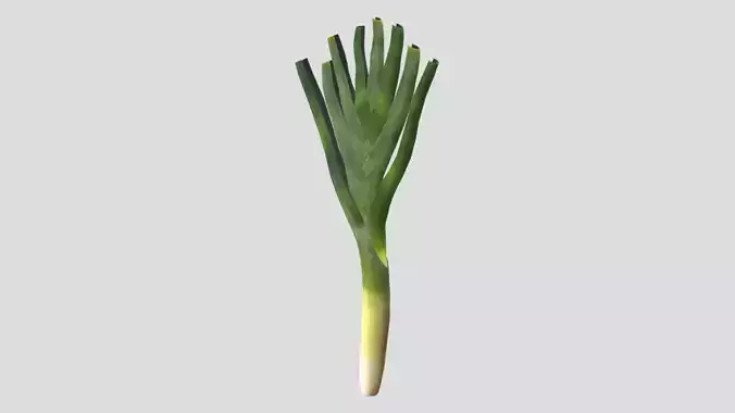 Leek Low Poly  Low-poly 3D model