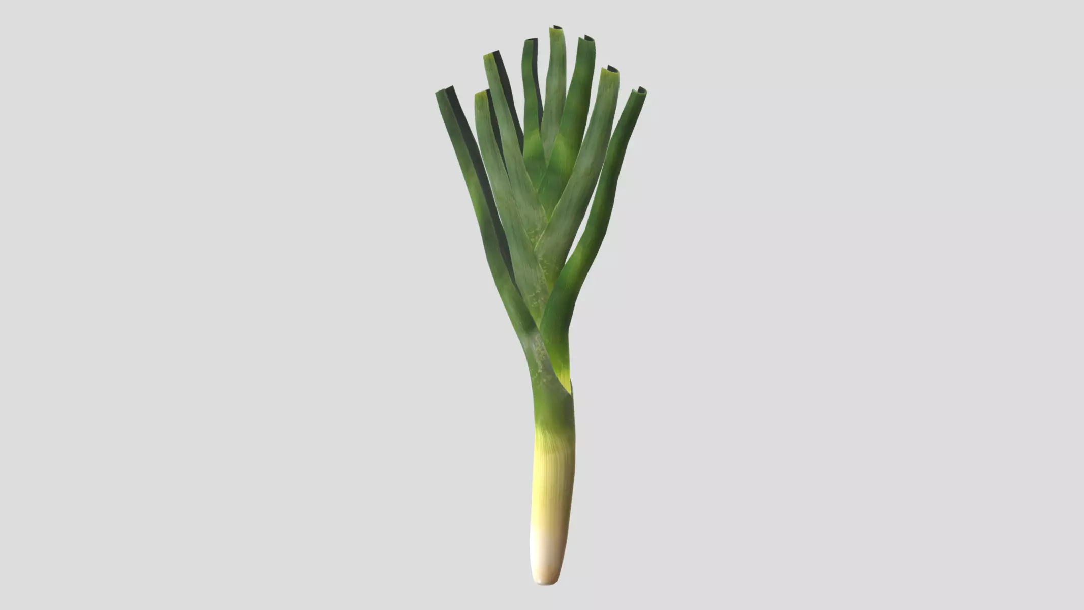 Leek Low Poly Low-poly 3D model_0