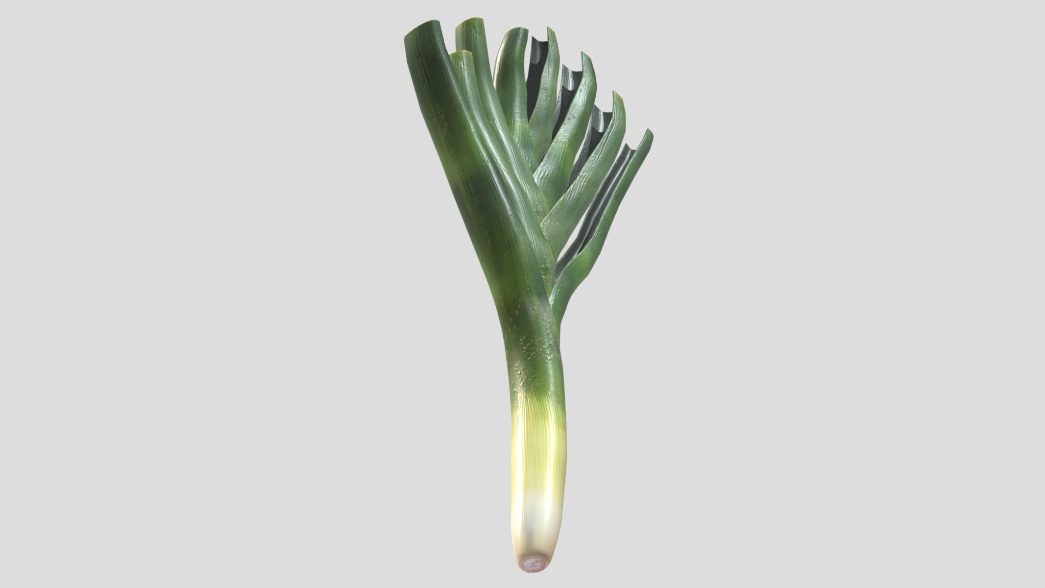 Leek Low Poly Low-poly 3D model_10