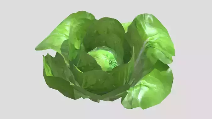 Lettuce Low Poly Low-poly 3D model