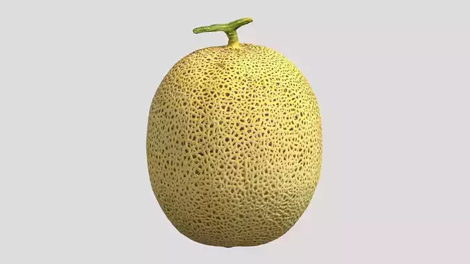 Melon 01 Low Poly Low-poly 3D model