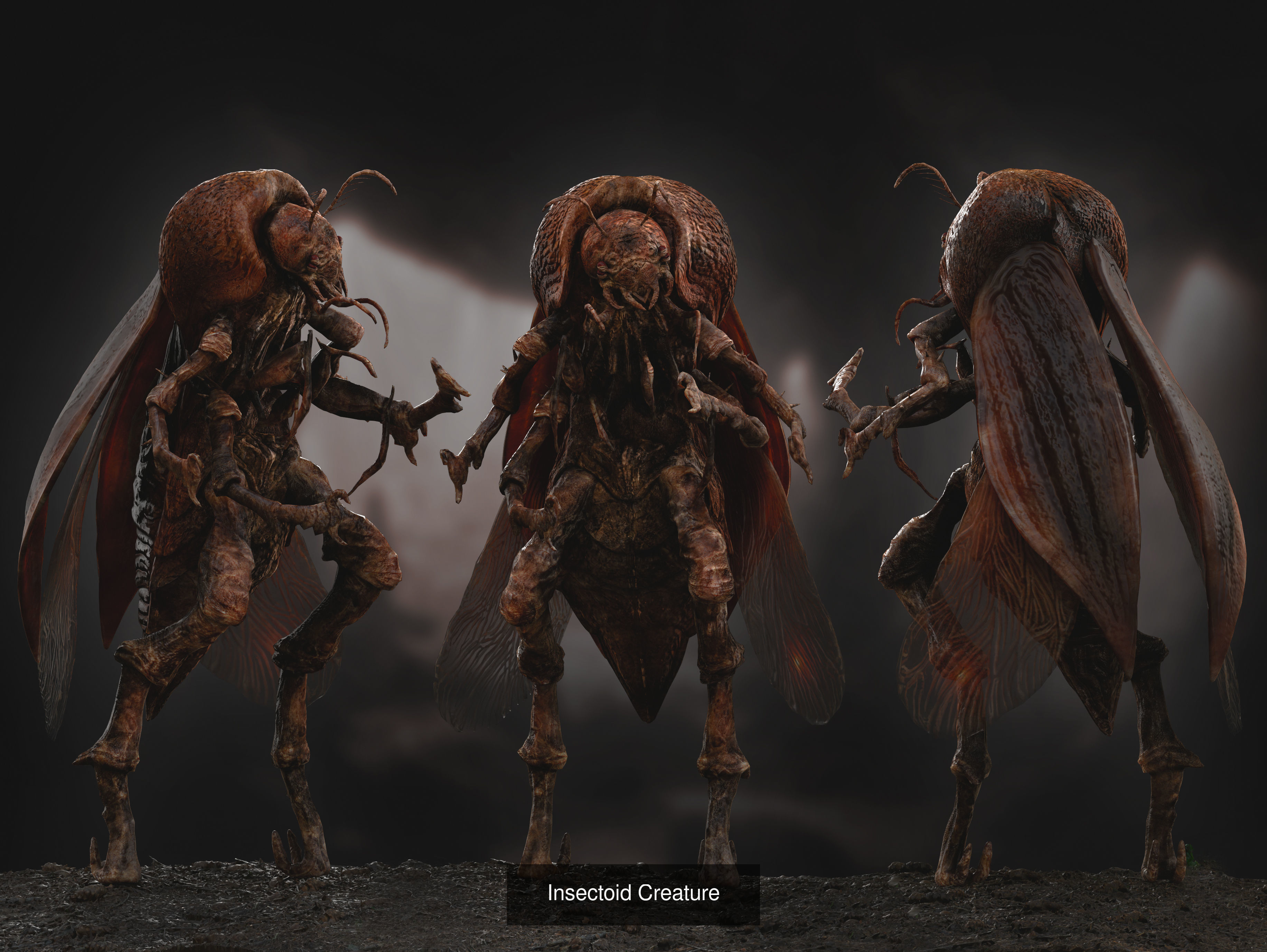 Creatures Insects Pack 3D Model Collection_5