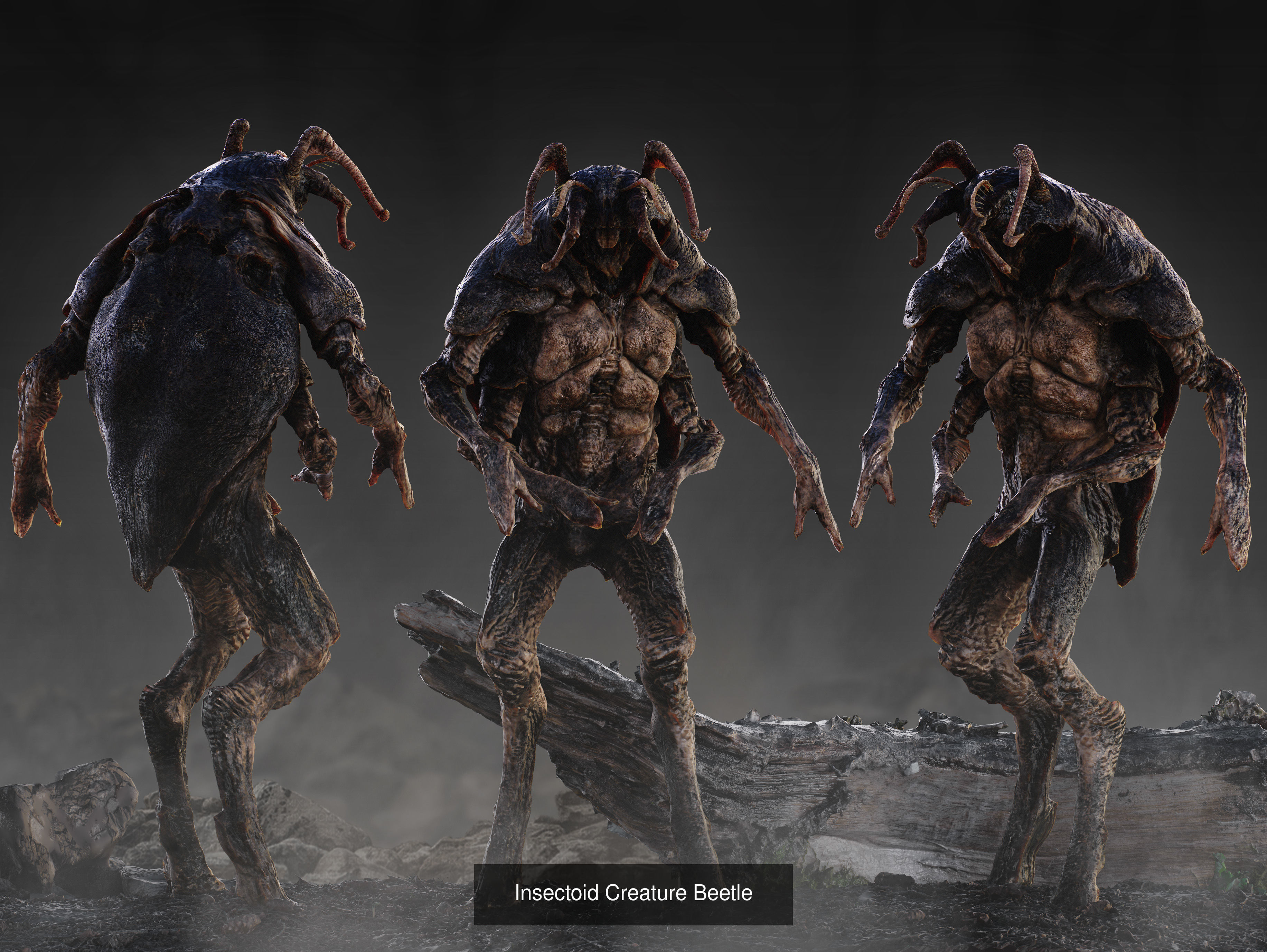 Creatures Insects Pack 3D Model Collection_7