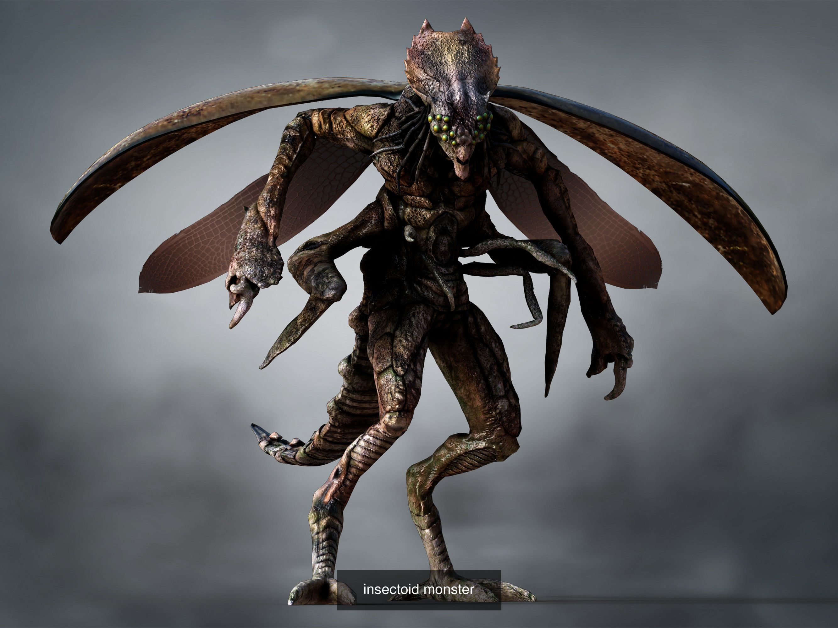 Creatures Insects Pack 3D Model Collection_6