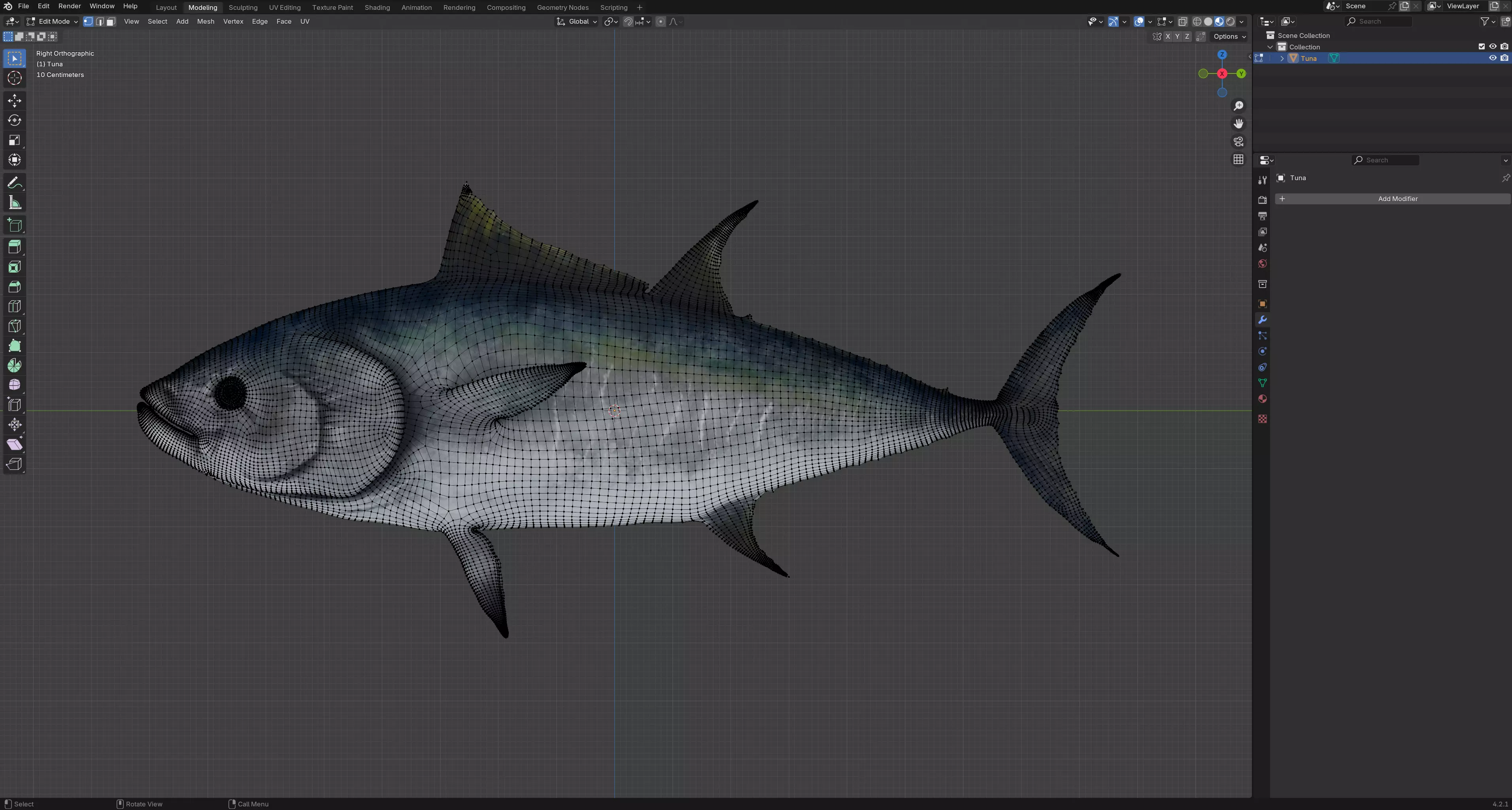 Tuna Fish 3D Model Low-poly 3D model_6