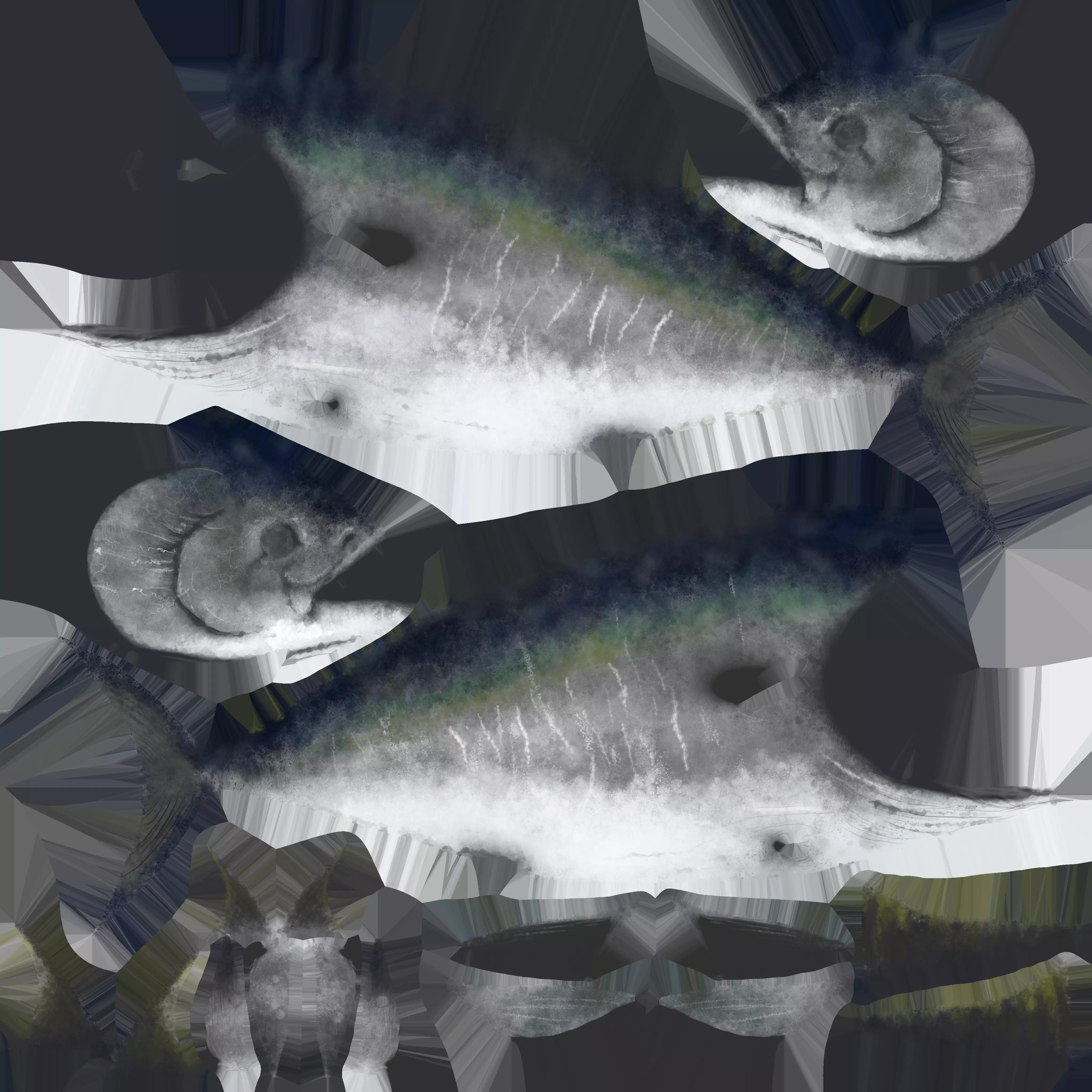 Tuna Fish 3D Model Low-poly 3D model_8