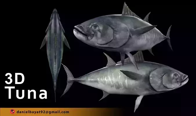 Tuna Fish 3D Model Low-poly 3D model Tuna Fish 3D Model Low-poly 3D model