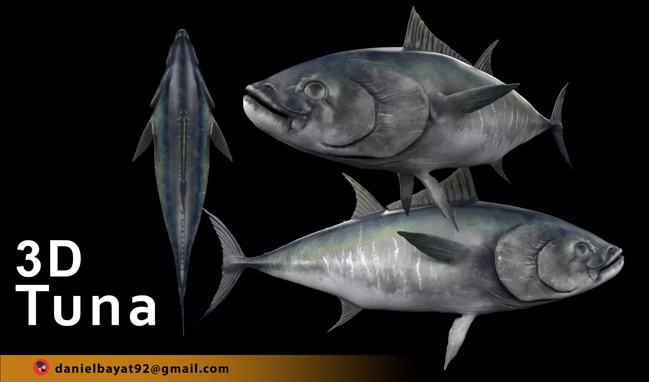 Tuna Fish 3D Model Low-poly 3D model_0