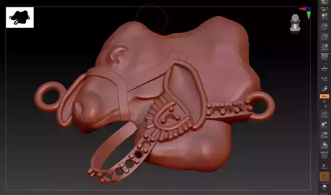 the holy cow b complete