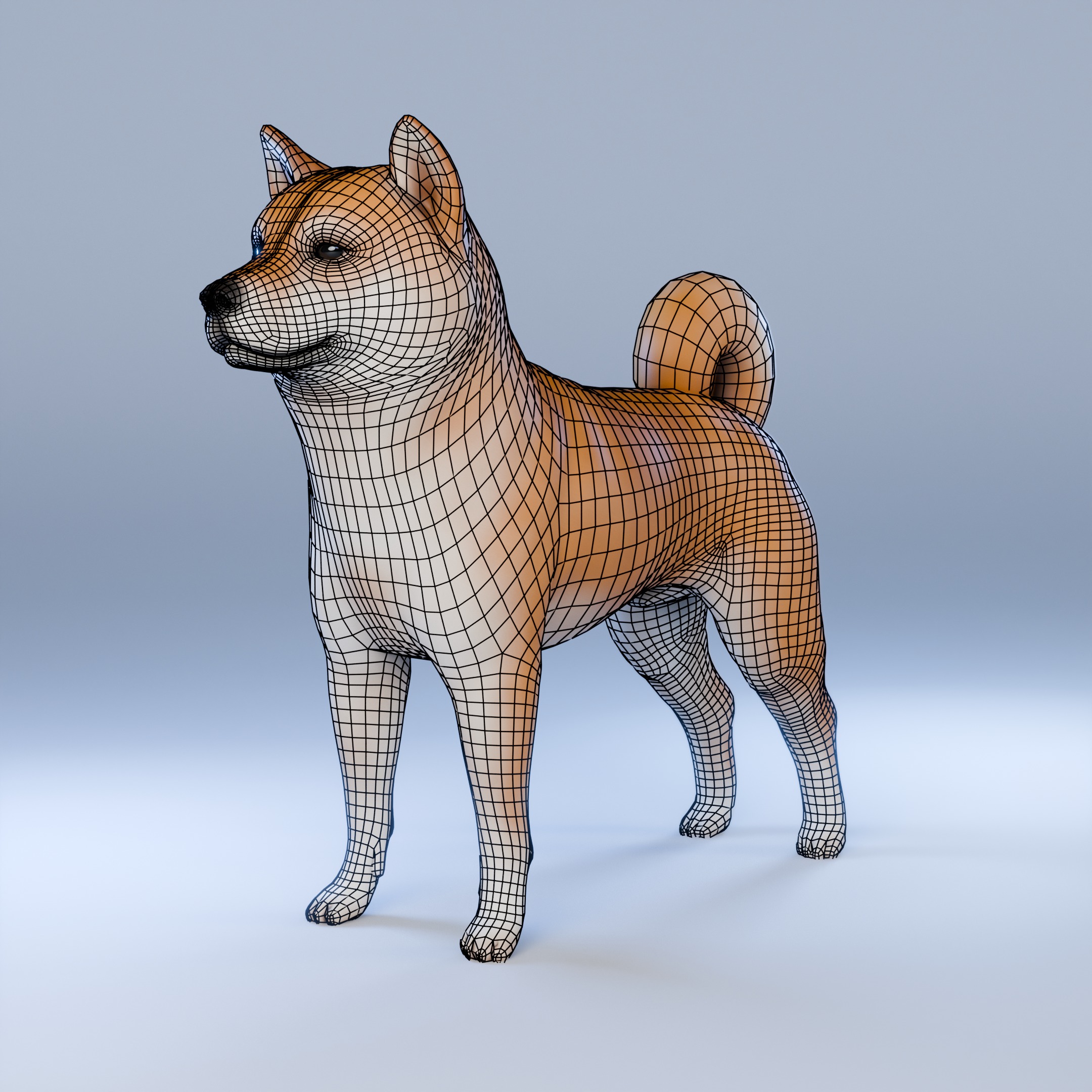 Dog Shiba Inu Animal 3D Model Low-poly 3D model_3
