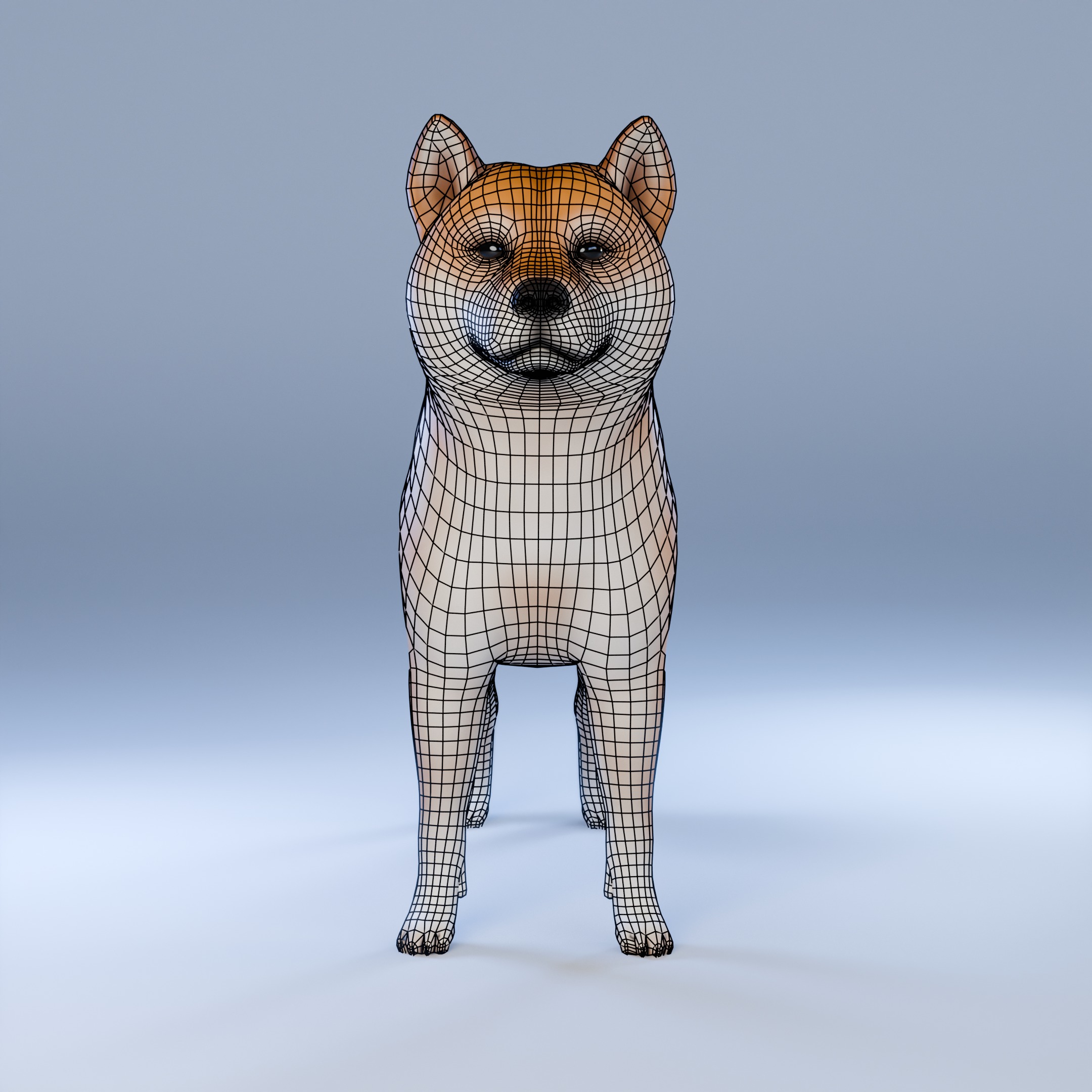 Dog Shiba Inu Animal 3D Model Low-poly 3D model_16