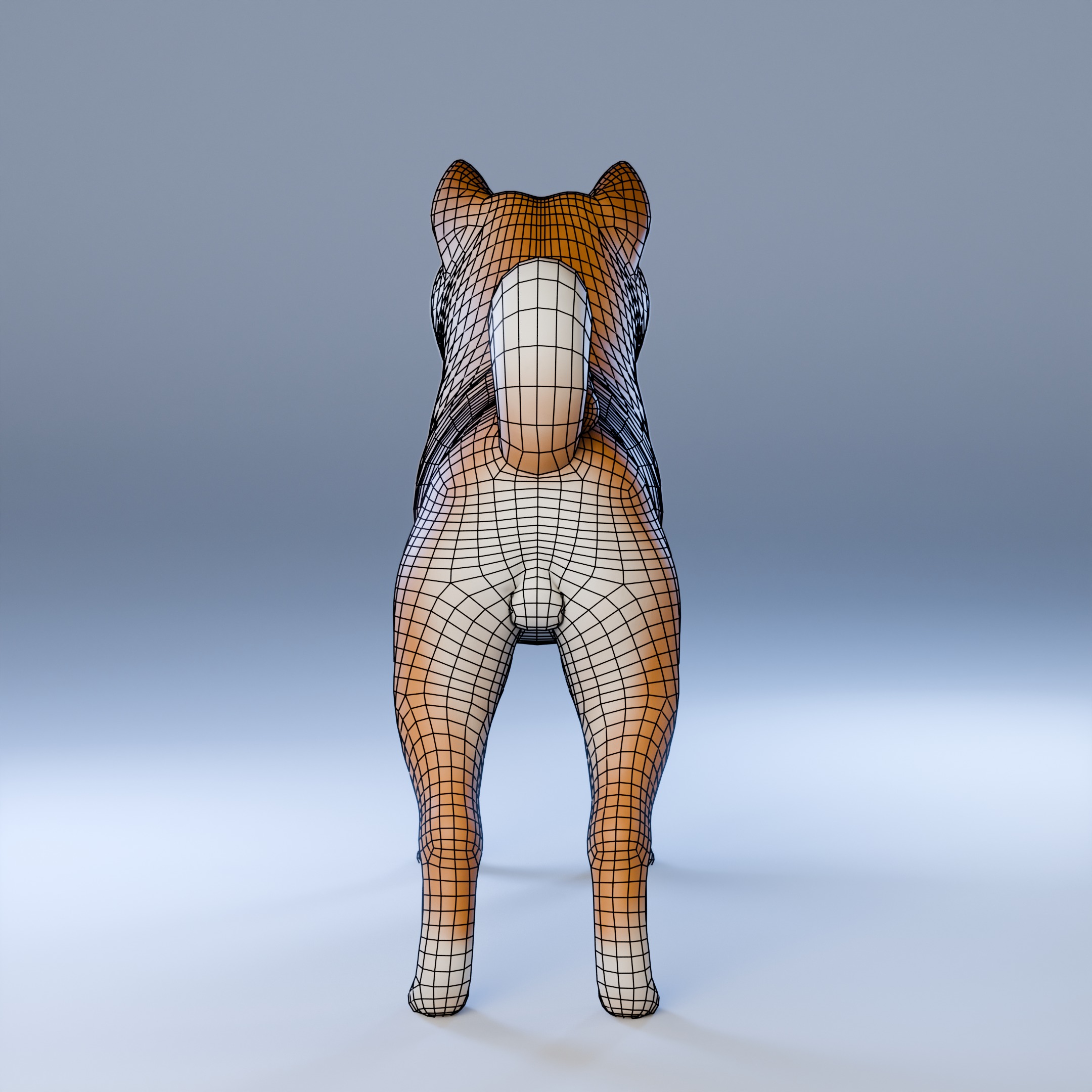 Dog Shiba Inu Animal 3D Model Low-poly 3D model_17