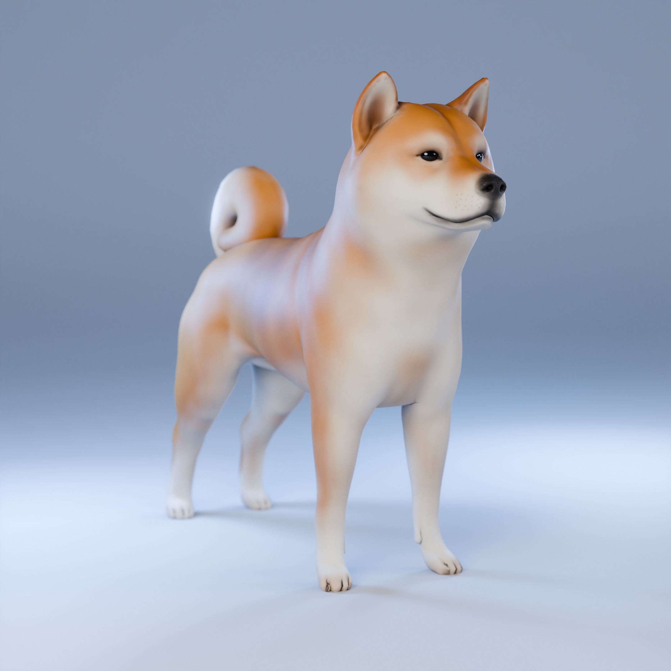 Dog Shiba Inu Animal 3D Model Low-poly 3D model_12