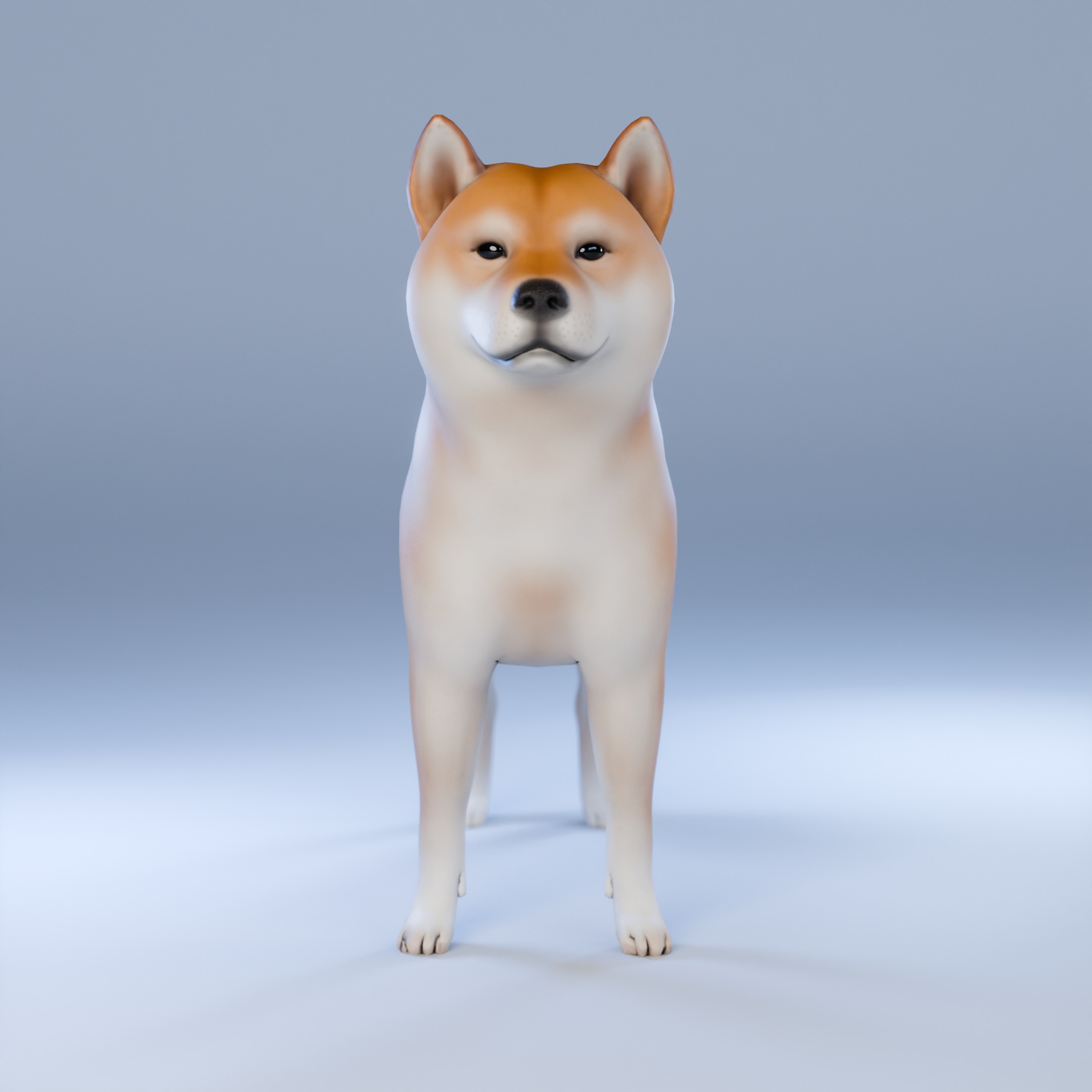 Dog Shiba Inu Animal 3D Model Low-poly 3D model_15