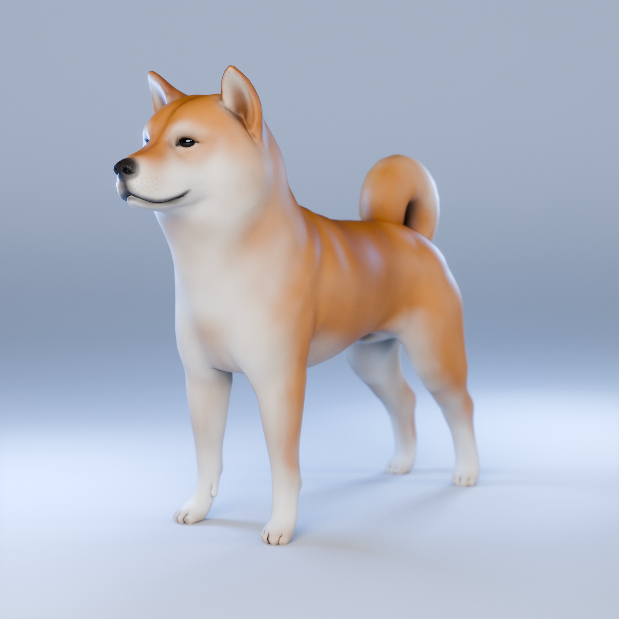 Dog Shiba Inu Animal 3D Model Low-poly 3D model_2