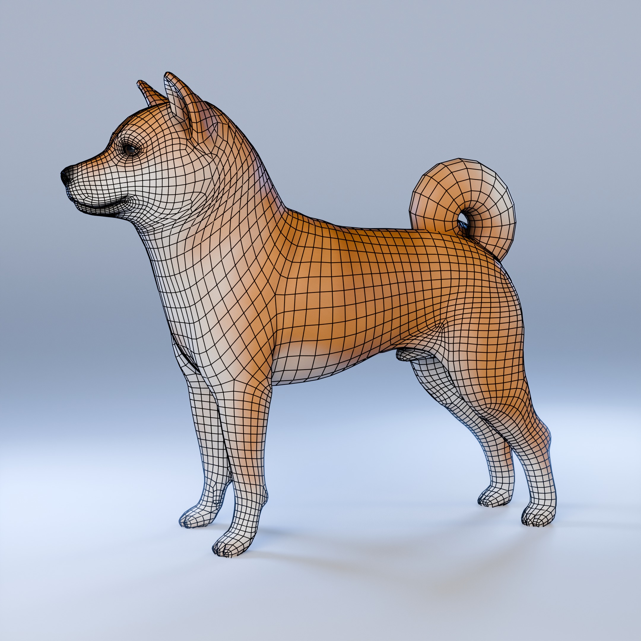 Dog Shiba Inu Animal 3D Model Low-poly 3D model_5