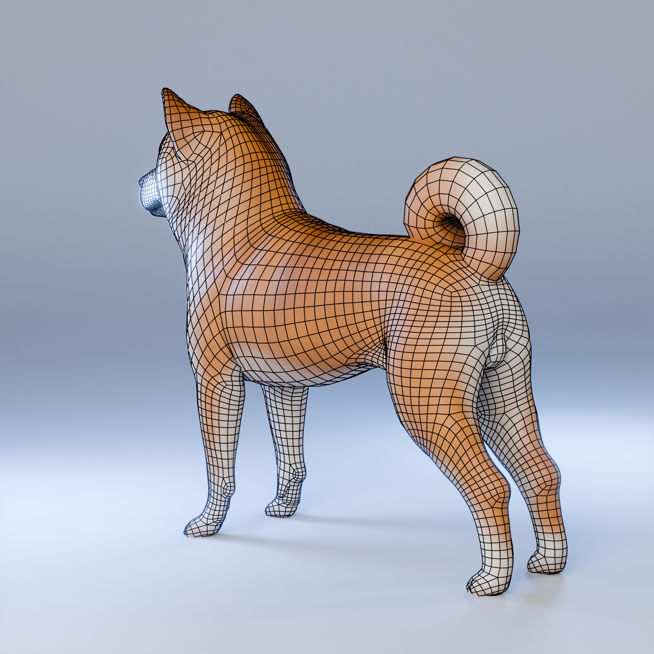 Dog Shiba Inu Animal 3D Model Low-poly 3D model_7