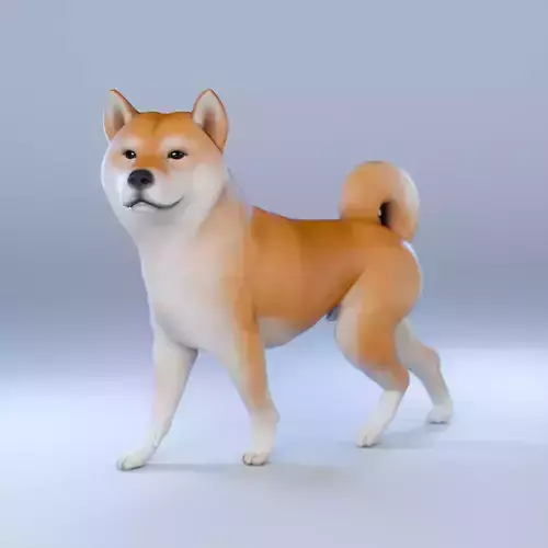 Dog Shiba Inu Animal 3D Model