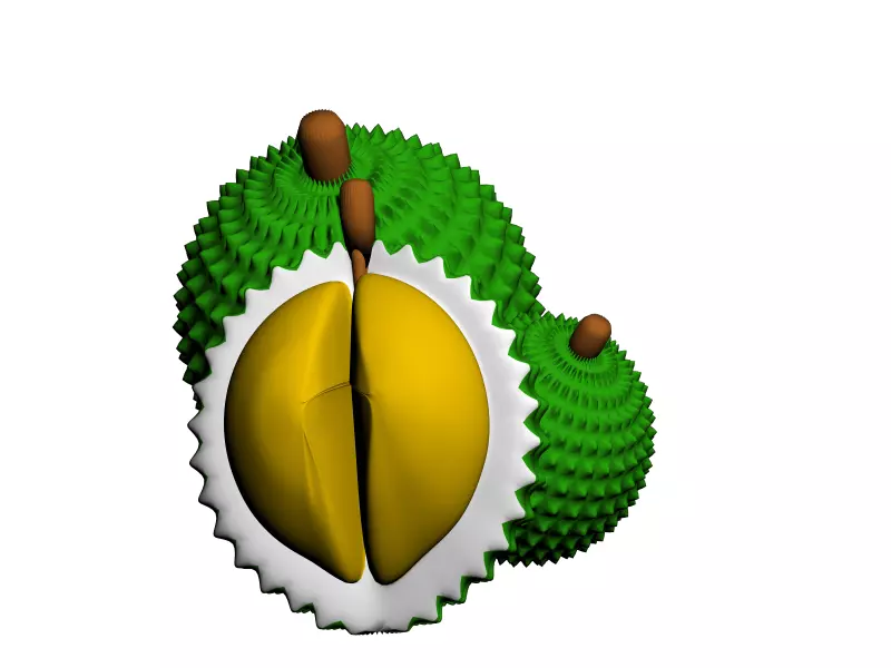 Durian 3D print model