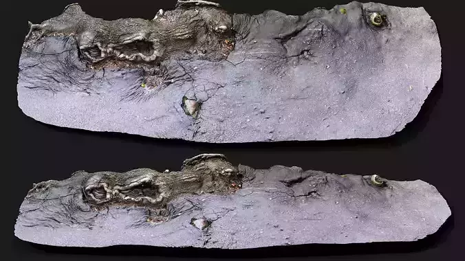 tree roots damaged road asphalt part1 photogrammetry