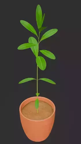 Low poly plant for animation