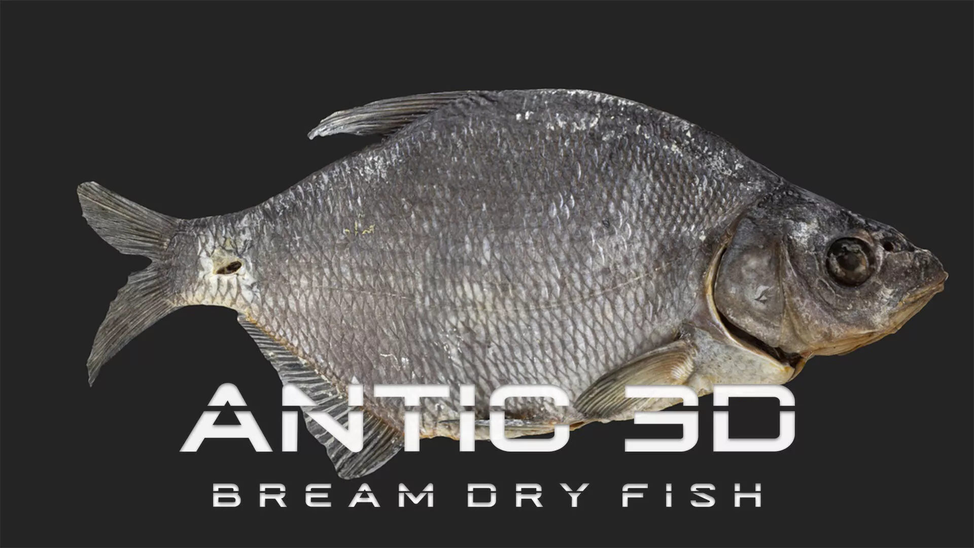 Bream dry fish Low-poly 3D model