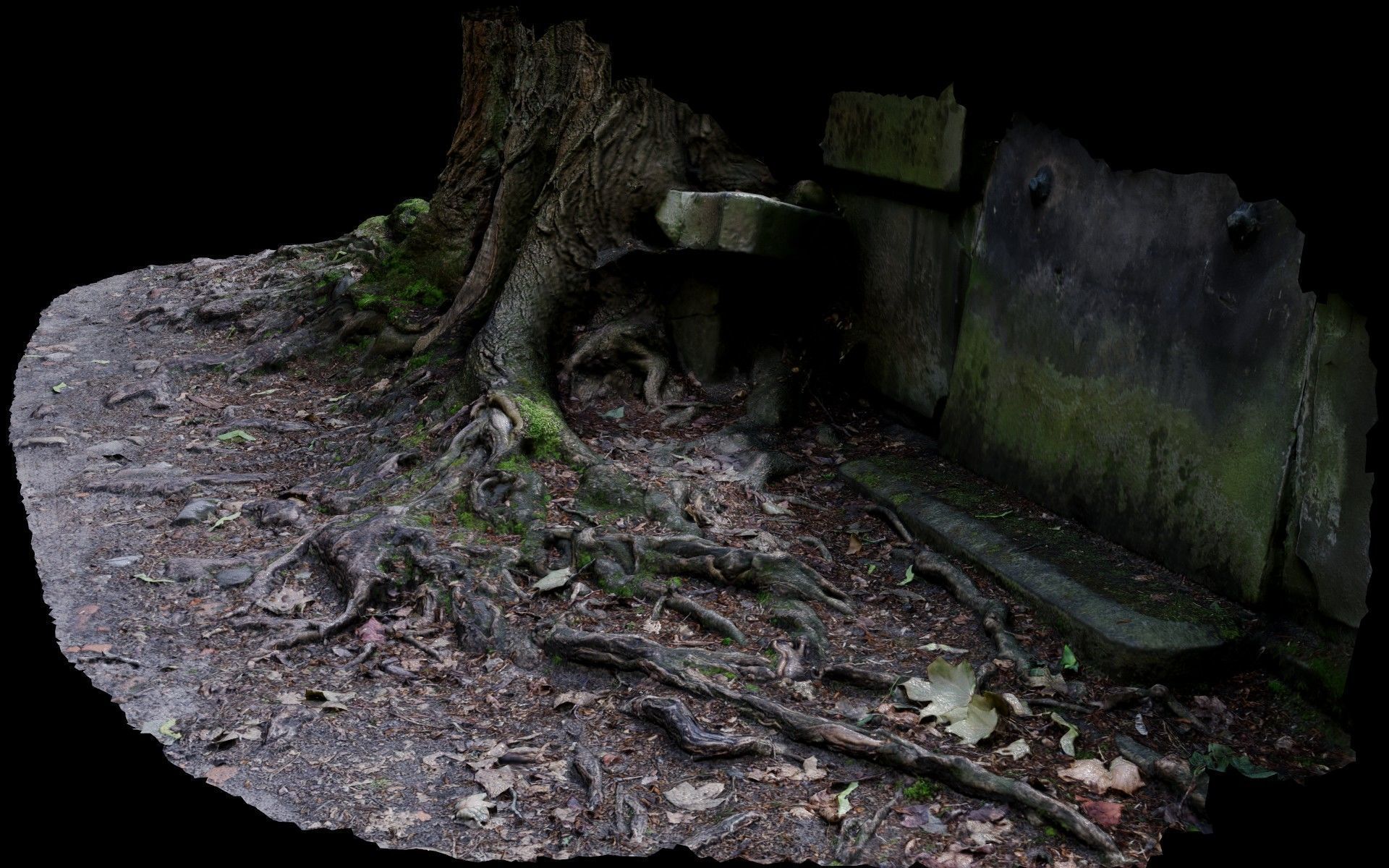 asphalt damaged road tree roots part13 photogrammetry Low-poly 3D model_2