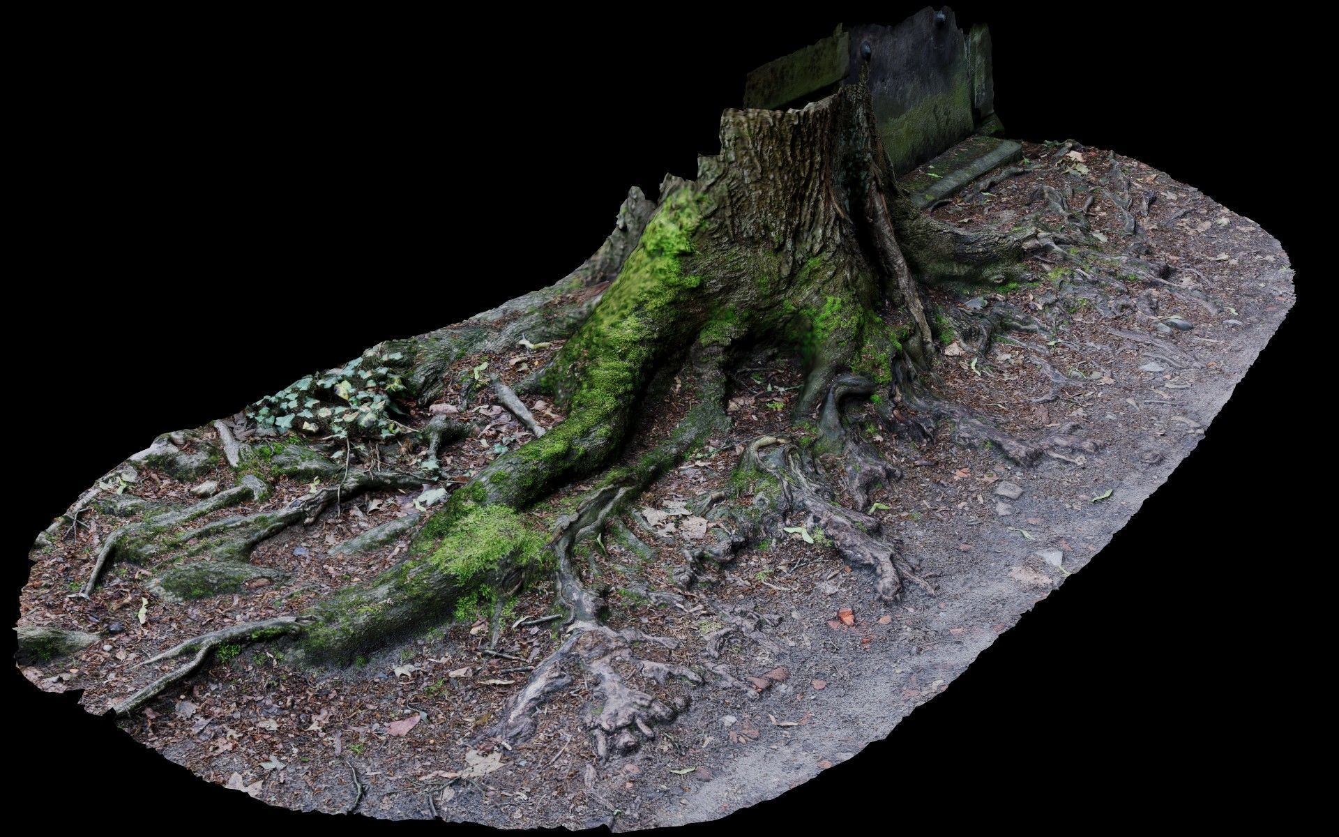 asphalt damaged road tree roots part13 photogrammetry Low-poly 3D model_1