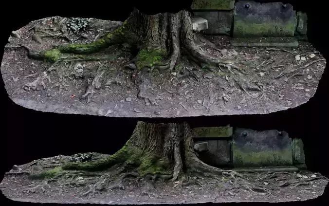 asphalt damaged road tree roots part13 photogrammetry