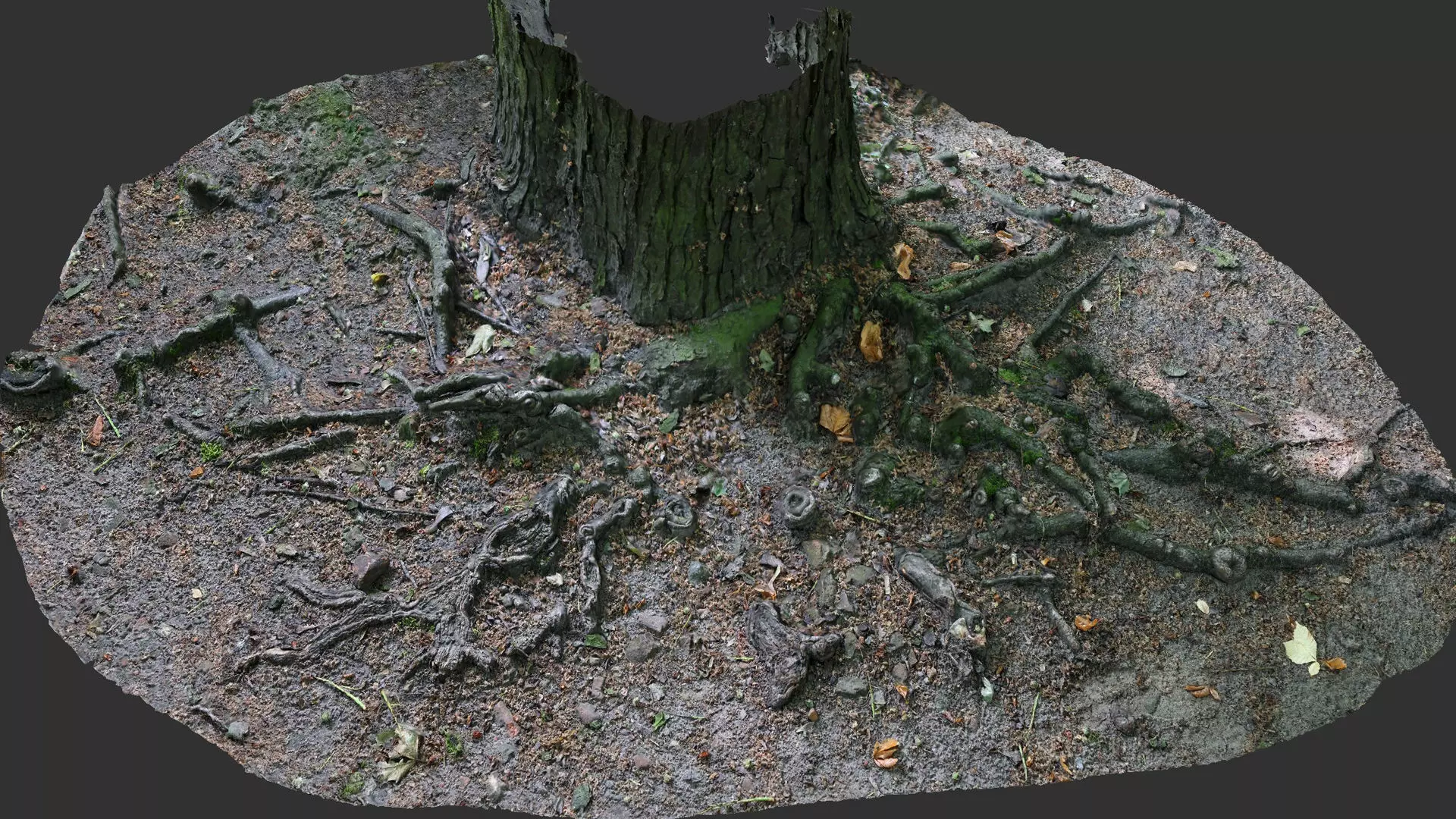 asphalt damaged road tree roots part14 photogrammetry Free low-poly 3D model_0