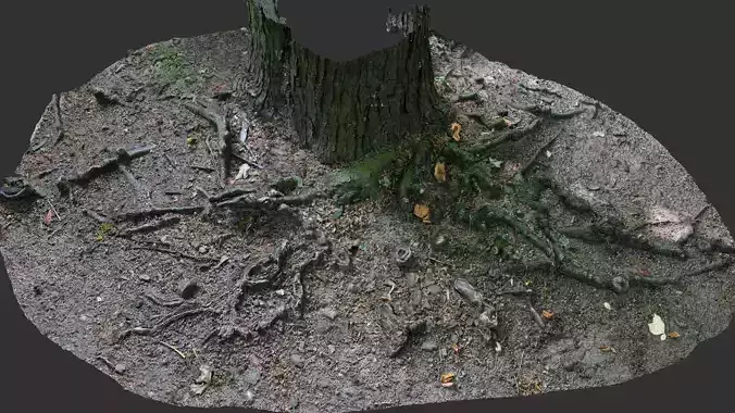 asphalt damaged road tree roots part14 photogrammetry
