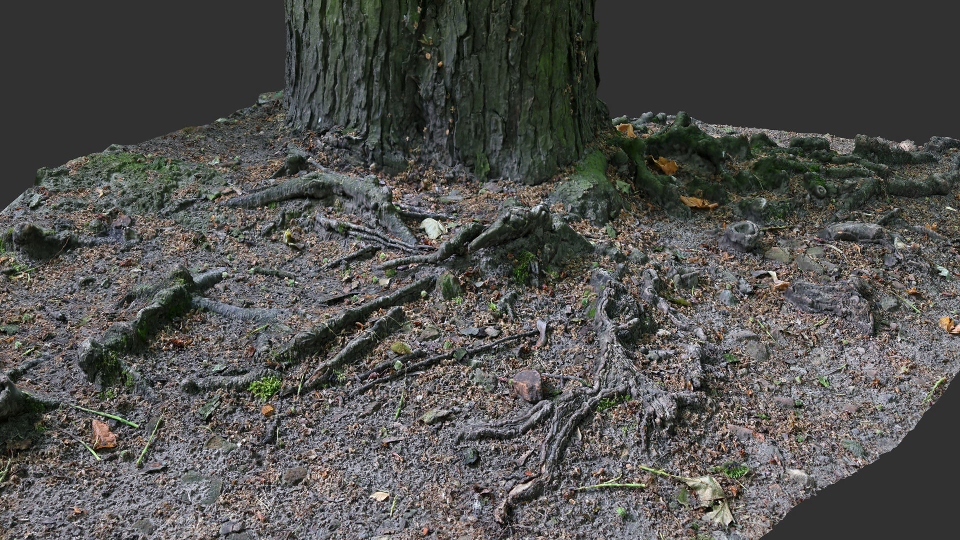 asphalt damaged road tree roots part14 photogrammetry Free low-poly 3D model_2
