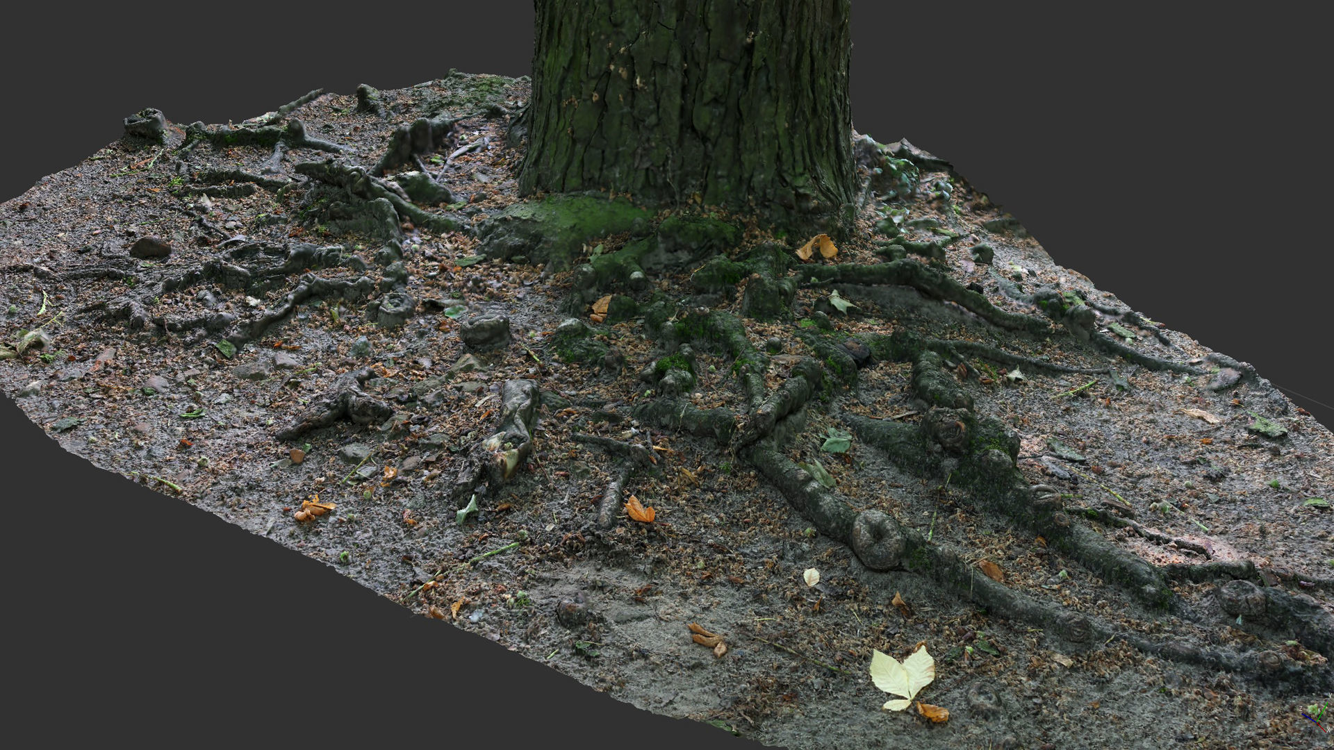 asphalt damaged road tree roots part14 photogrammetry Free low-poly 3D model_1