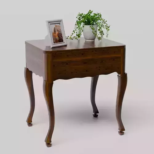 Wooden table with a plant