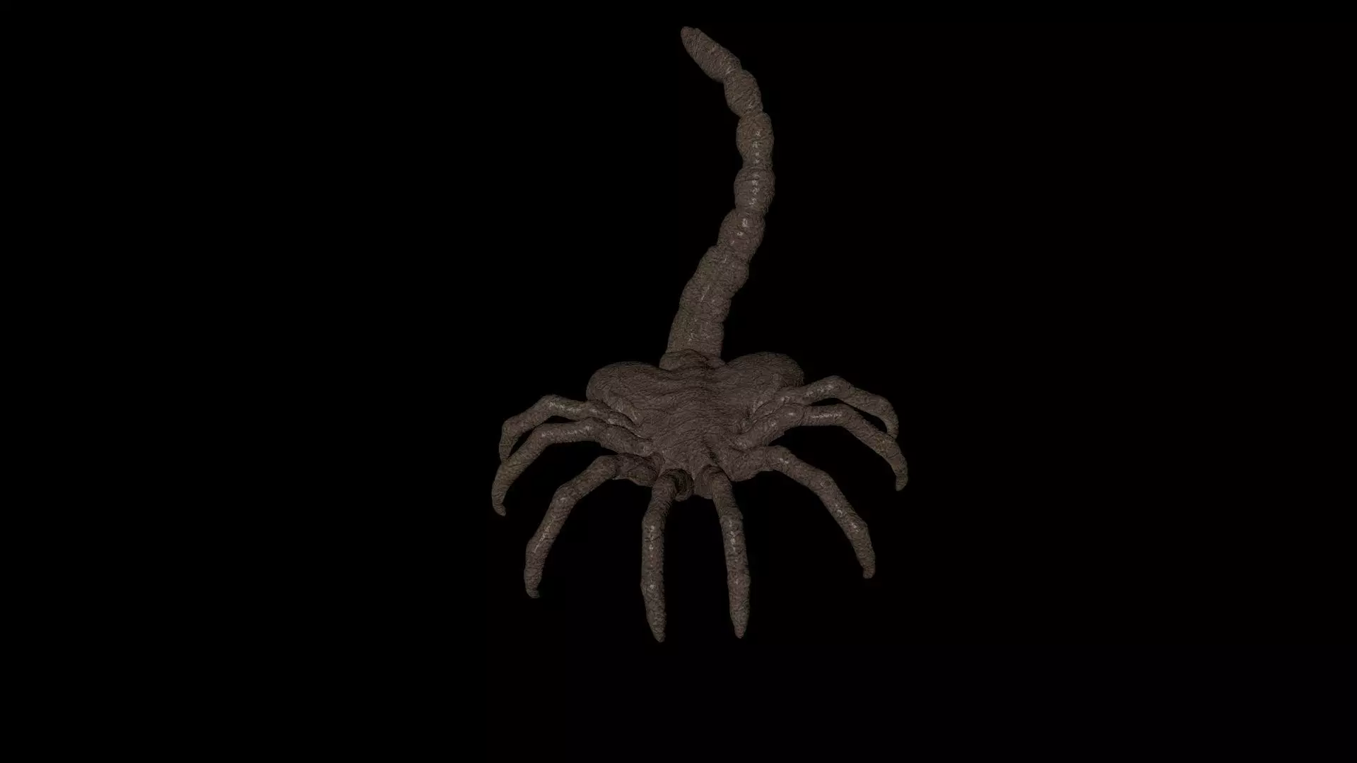 Alien facehugger 3D model