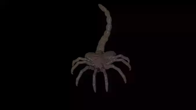 Alien facehugger 3D model